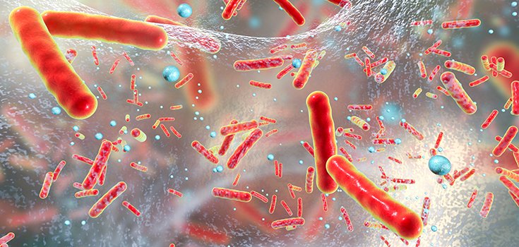 Infectious Bacteria Stealthily Avoid Antibiotics Through “Hibernation”