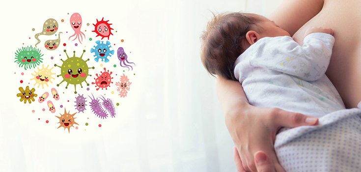 Breastfed Babies Have Fewer Antibiotic-Resistant Bacteria in Their Guts