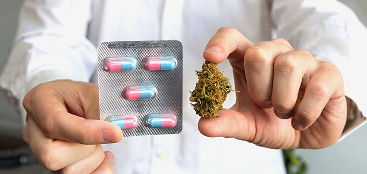 Study: States with Legal Marijuana Administer Fewer Opioid Prescriptions