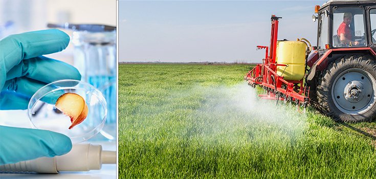 FDA Releases Glyphosate Herbicide Residue Report: Here’s What was Found