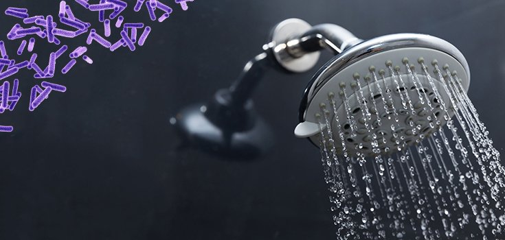 Could Your Dirty Shower Head Really Cause Lung Infections?