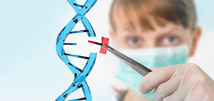 World Health Organization to Study Gene Editing Amid Controversial Developments