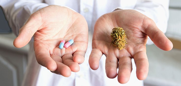 Survey: 40% of Medical Pot Users Able to Stop Using Pharmaceuticals