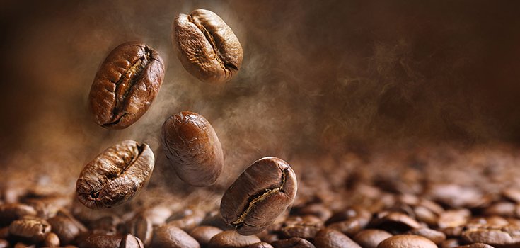 60% of Wild Coffee Species Could Go Extinct – Here’s Why