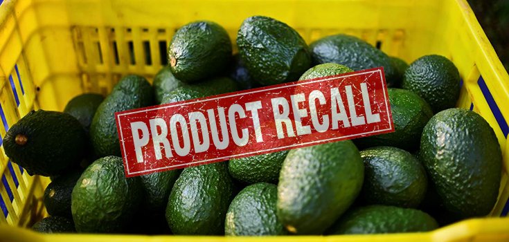 Listeria Concerns Prompt Avocado Recall in 6 States