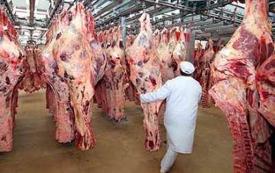 beef carcasses