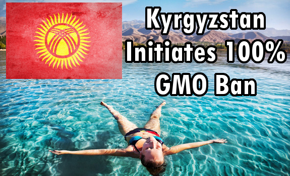 Kyrgyzstan gmo ban