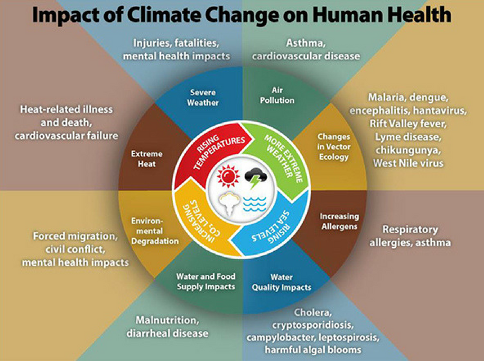 Source: U.S. Centers for Disease Control