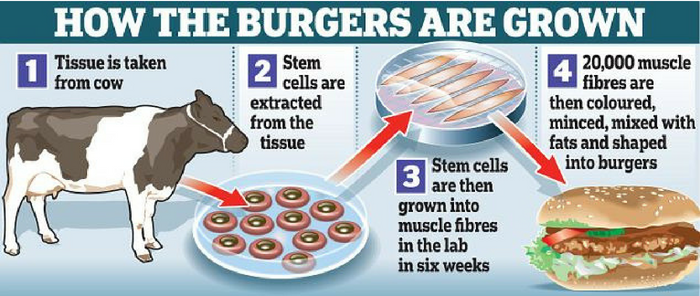 Source: Daily Mail