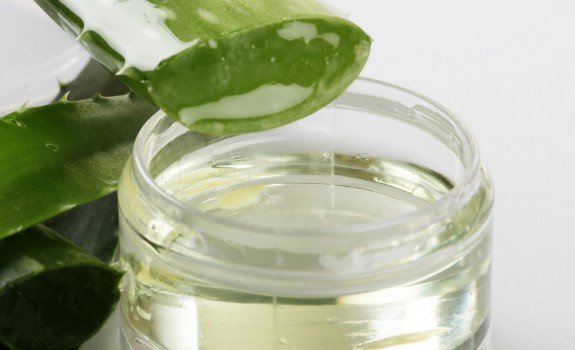 aloe vera