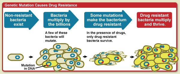 Source: Nova amr-genetic-mutation-flickr-niaid-5081362184_a790d271f4_o