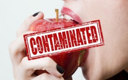 contaminated apple