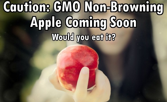 gmo apple
