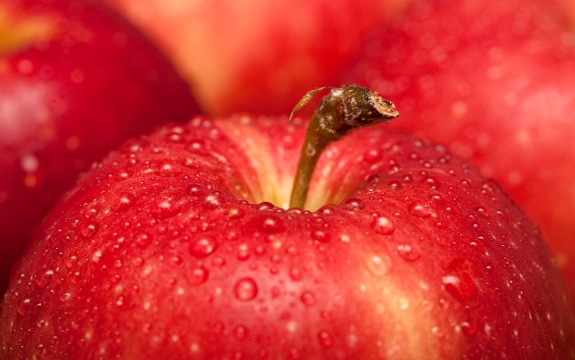 Apple Juice Daily Could Significantly Reduce Alzheimer's Risk