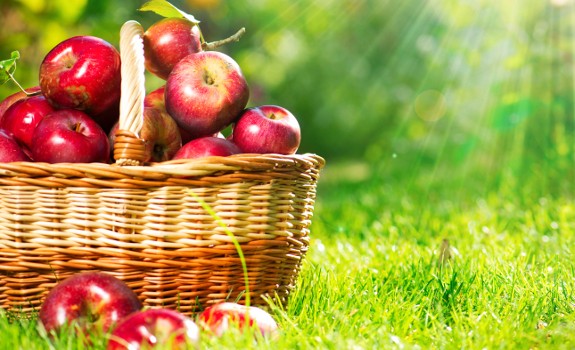 basket of apples