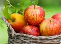 applesredinbasket_crop