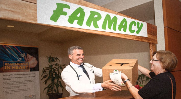 article-farmacy-stand-2