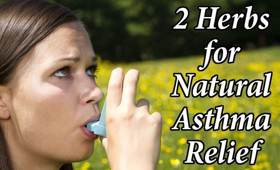 Asthma herbs