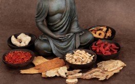 astragalus_chinese_healing_foods_ancient