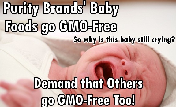 baby food GMO