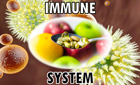 immune system