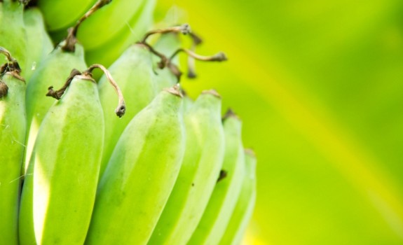 bananas