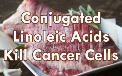 conjugated linoleic acid
