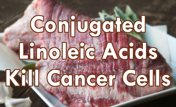 conjugated linoleic acid