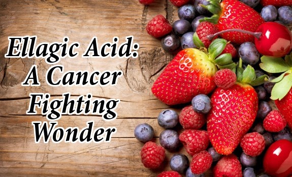 berries cancer
