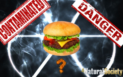 calories chemicals
