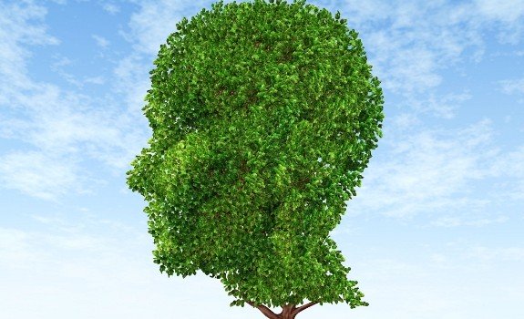 brain tree