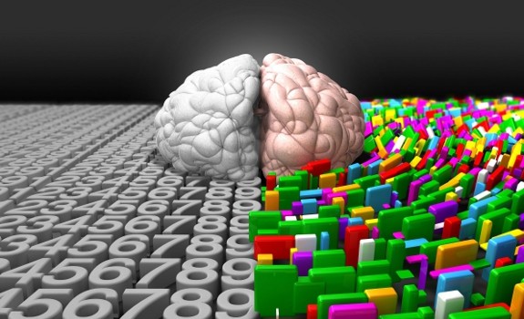 brain split