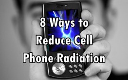 cell phone radiation
