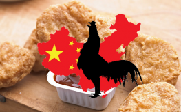 chicken China