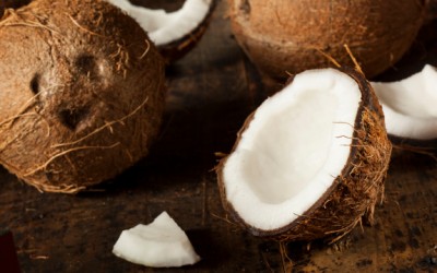 coconut oil