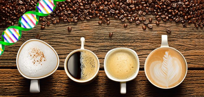 coffee, dna