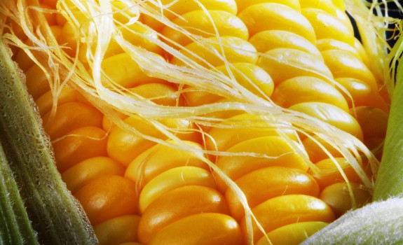 corn