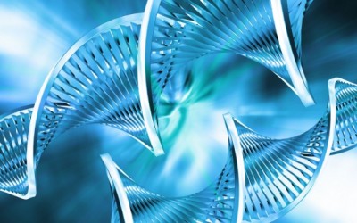dna