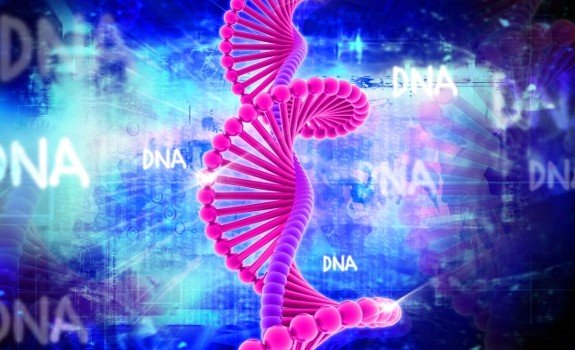 dna strand