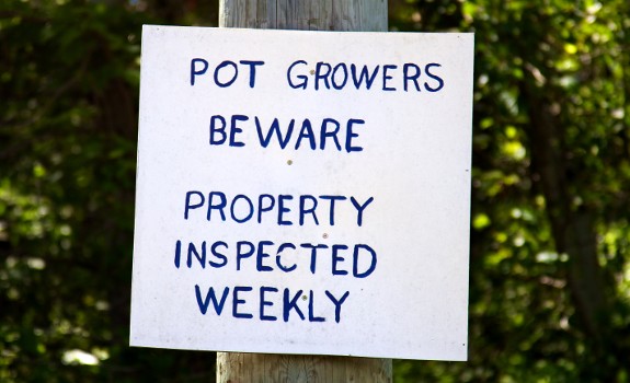 pot grower
