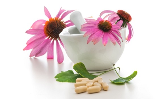 echinacea