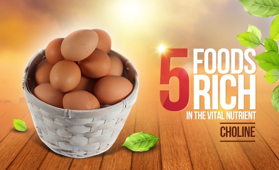 eggs choline