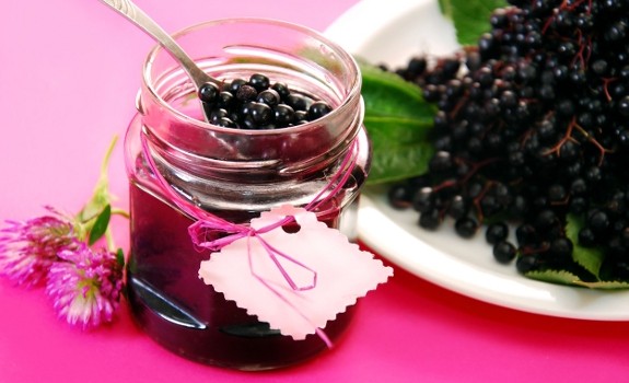 black elderberry
