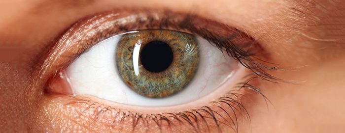 eye