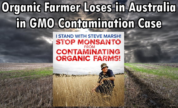 Steve Marsh GMO contamination
