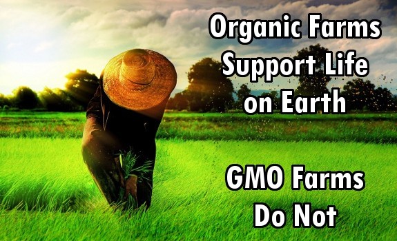 organic farm