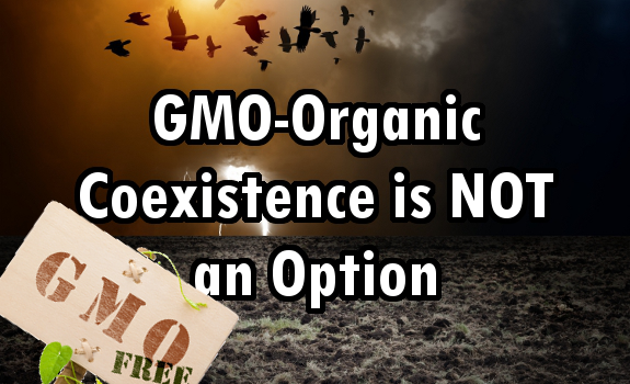 gmo organic coexistence