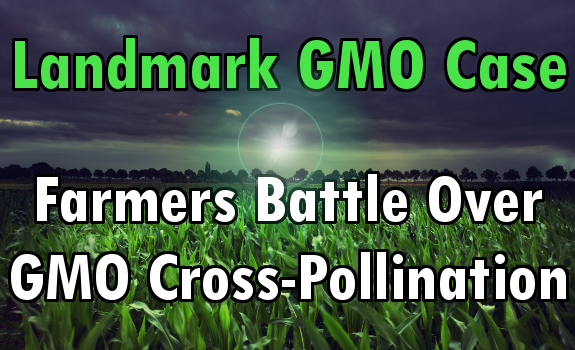 GMO case