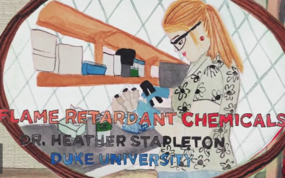 flame retardants