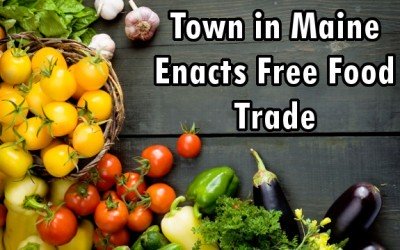 free food trad